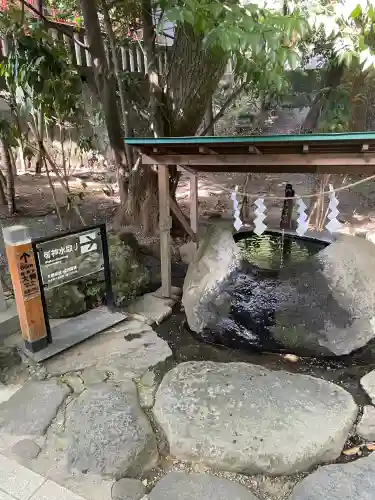 來宮神社(静岡県)