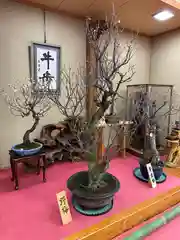 菅原天満宮（菅原神社）(奈良県)