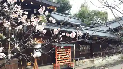 今宮神社(京都府)