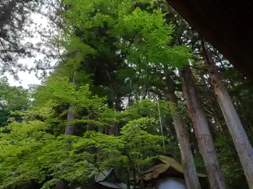宝積山光前寺(長野県)