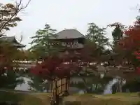 東大寺(奈良県)