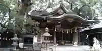 春日神社の本殿・本堂
