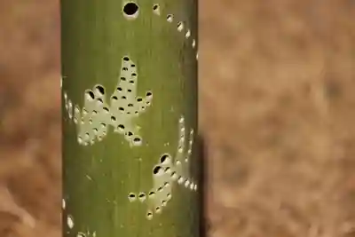 国宝 大法寺のその他建物