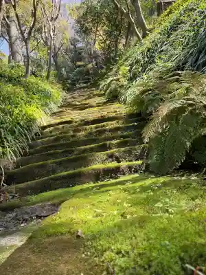 妙法寺の{uncategorized: "未分類", other: "その他", undefined: "問題あり", building: "その他建物", grave: "お墓", sacred_gate: "鳥居", guardian: "狛犬", statue: "像", buddha: "仏像", history: "歴史", nature: "自然", garden: "庭園", animal: "動物", pagoda: "塔", temizu: "手水舎", mountain_gate: "山門・神門", sanctuary: "本殿・本堂", subordinate: "末社・摂社", art: "芸術", scenery: "景色", jizo: "地蔵", ema: "絵馬", goshuin: "御朱印", omikuji: "おみくじ", items: "授与品その他", amulet: "お守り", goshuincho: "御朱印帳", eats: "食事", festival: "お祭り", votive_dance: "神楽", shichigosan: "七五三参", wedding: "結婚式", experience: "体験その他", initially: "初詣", around: "周辺", anti_infection: "感染症対策"}