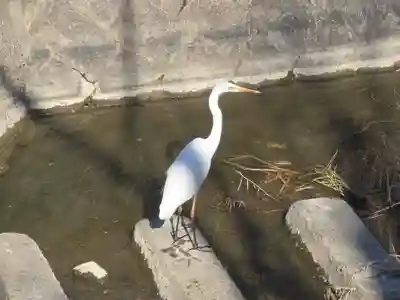小北稲荷大明神(奈良県)