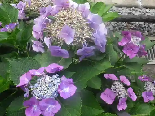 御霊神社の自然