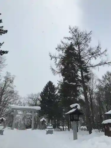 鷹栖神社の鳥居