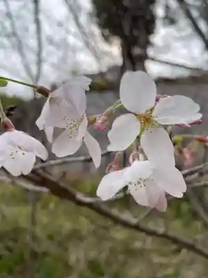 荷松院幸大寺(兵庫県)