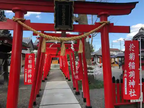 於菊稲荷神社の鳥居