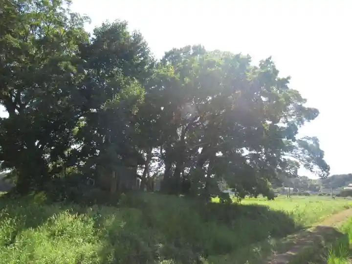 神明神社(千葉県)