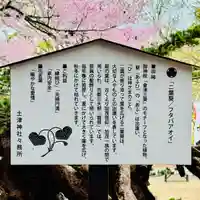 土津神社|こどもと出世の神さま(福島県)