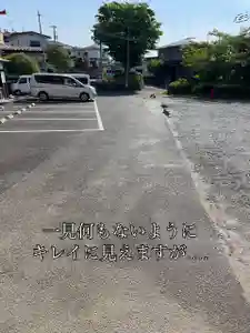 仙台八坂神社(宮城県)(2025年06月22日(日) 09時47分46秒投稿)