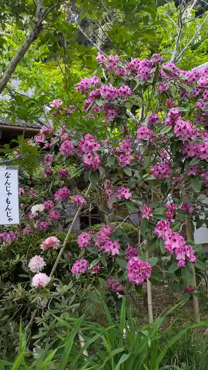 當麻寺西南院(奈良県)