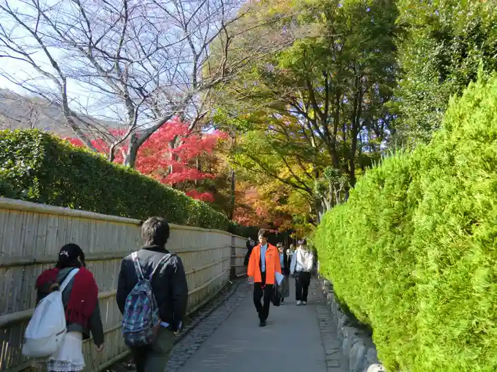 野宮神社(京都府)
