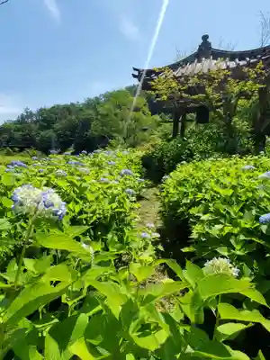 陽林寺(福島県)