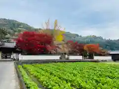 法泉寺(香川県)