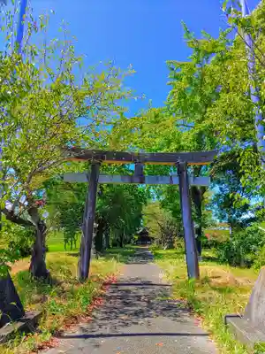 八幡神社(馬飼)の鳥居