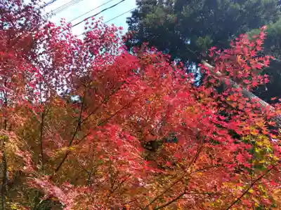 大安禅寺(福井県)