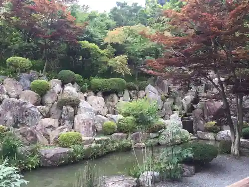 宝徳寺の庭園