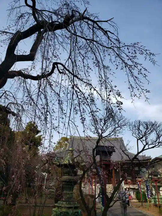 輪王寺両大師堂(寛永寺輪王殿)(東京都)