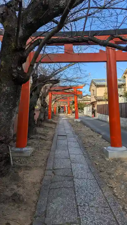 竹中稲荷神社(吉田神社末社)(京都府)