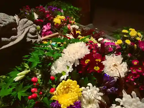 滑川神社 - 仕事と子どもの守り神の手水舎