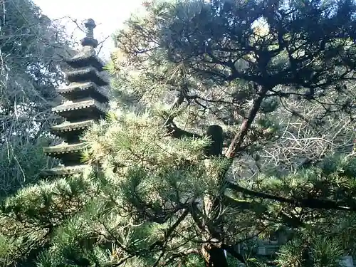 安國論寺（安国論寺）の庭園