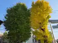 上平間八幡大神(神奈川県)