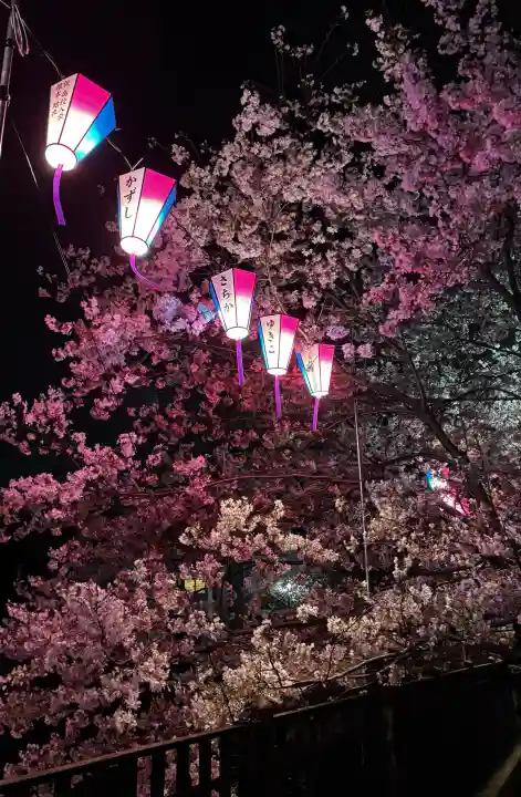 弘明寺の{uncategorized: "未分類", other: "その他", undefined: "問題あり", building: "その他建物", grave: "お墓", sacred_gate: "鳥居", guardian: "狛犬", statue: "像", buddha: "仏像", history: "歴史", nature: "自然", garden: "庭園", animal: "動物", pagoda: "塔", temizu: "手水舎", mountain_gate: "山門・神門", sanctuary: "本殿・本堂", subordinate: "末社・摂社", art: "芸術", scenery: "景色", jizo: "地蔵", ema: "絵馬", goshuin: "御朱印", omikuji: "おみくじ", items: "授与品その他", amulet: "お守り", goshuincho: "御朱印帳", eats: "食事", festival: "お祭り", votive_dance: "神楽", shichigosan: "七五三参", wedding: "結婚式", experience: "体験その他", initially: "初詣", around: "周辺", anti_infection: "感染症対策"}