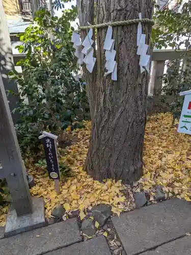 行田八幡神社(埼玉県)