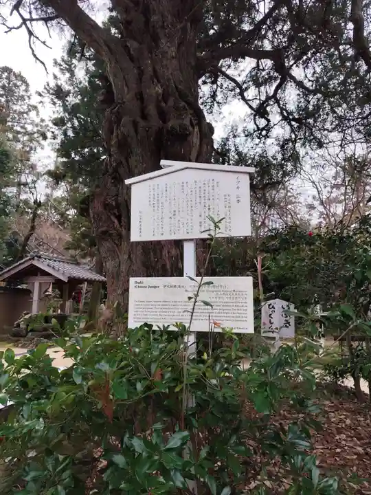 浄瑠璃寺(愛媛県)