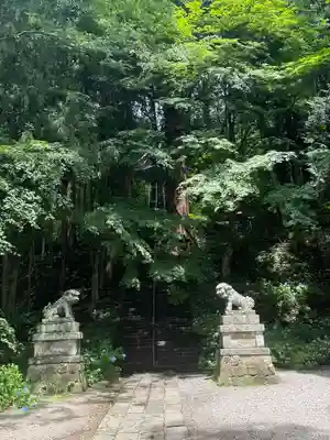 戸隠神社宝光社(長野県)