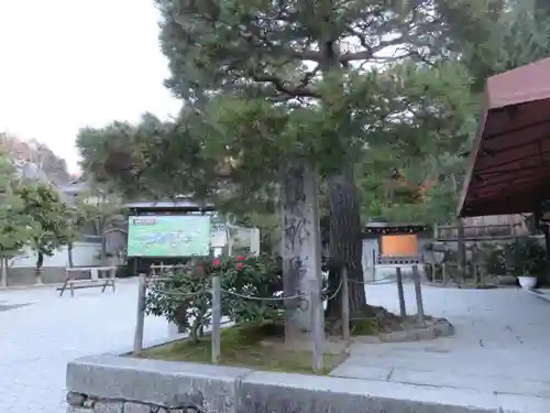 慈照寺（慈照禅寺・銀閣寺）の庭園