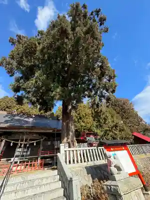 鼬幣稲荷神社(岩手県)