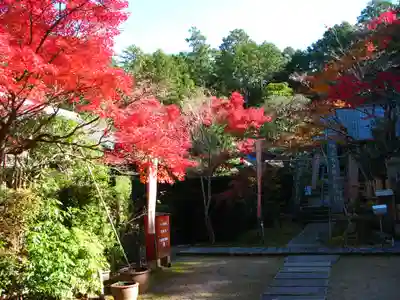 安養寺のその他建物