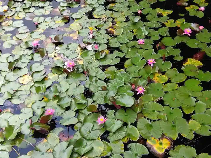 八幡神社(滋賀県)
