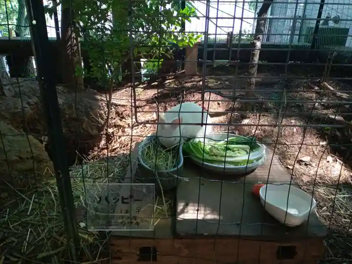 太子堂八幡神社(東京都)