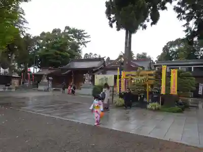 亀ケ池八幡宮の七五三参