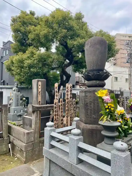 正洞院の{uncategorized: "未分類", other: "その他", undefined: "問題あり", building: "その他建物", grave: "お墓", sacred_gate: "鳥居", guardian: "狛犬", statue: "像", buddha: "仏像", history: "歴史", nature: "自然", garden: "庭園", animal: "動物", pagoda: "塔", temizu: "手水舎", mountain_gate: "山門・神門", sanctuary: "本殿・本堂", subordinate: "末社・摂社", art: "芸術", scenery: "景色", jizo: "地蔵", ema: "絵馬", goshuin: "御朱印", omikuji: "おみくじ", items: "授与品その他", amulet: "お守り", goshuincho: "御朱印帳", eats: "食事", festival: "お祭り", votive_dance: "神楽", shichigosan: "七五三参", wedding: "結婚式", experience: "体験その他", initially: "初詣", around: "周辺", anti_infection: "感染症対策"}