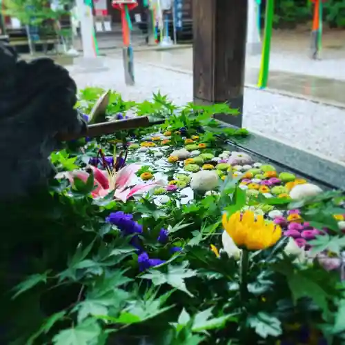 滑川神社 - 仕事と子どもの守り神の手水