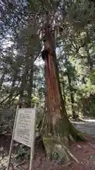 花園神社(茨城県)