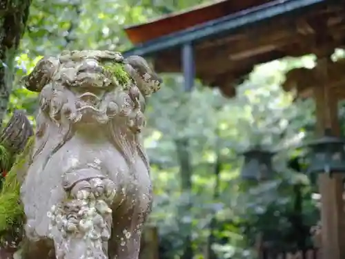 舟津神社の狛犬