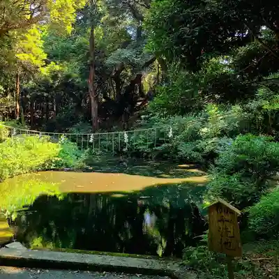 曽許乃御立神社(静岡県)