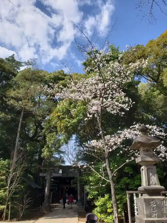 赤坂氷川神社(東京都)
