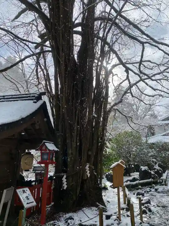 貴船神社の自然