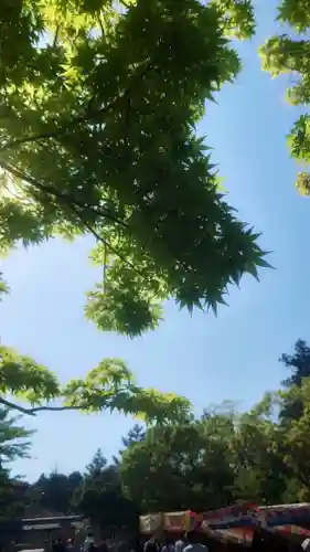 美濃國一宮　南宮大社の自然