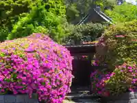 安養院 (田代寺)の自然