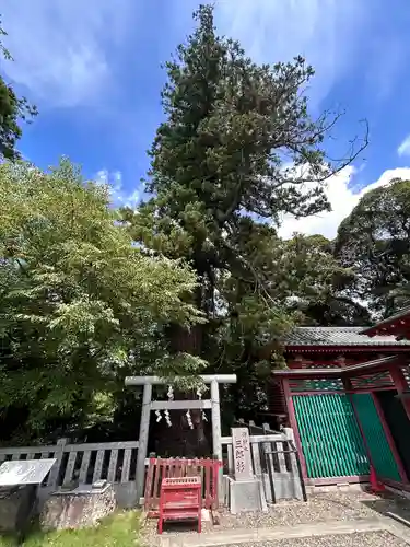 大杉神社(茨城県)