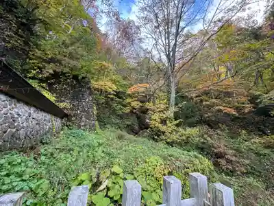 戸隠神社奥社(長野県)