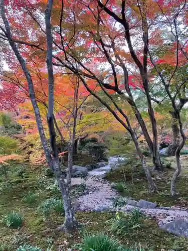 宝筐院(京都府)